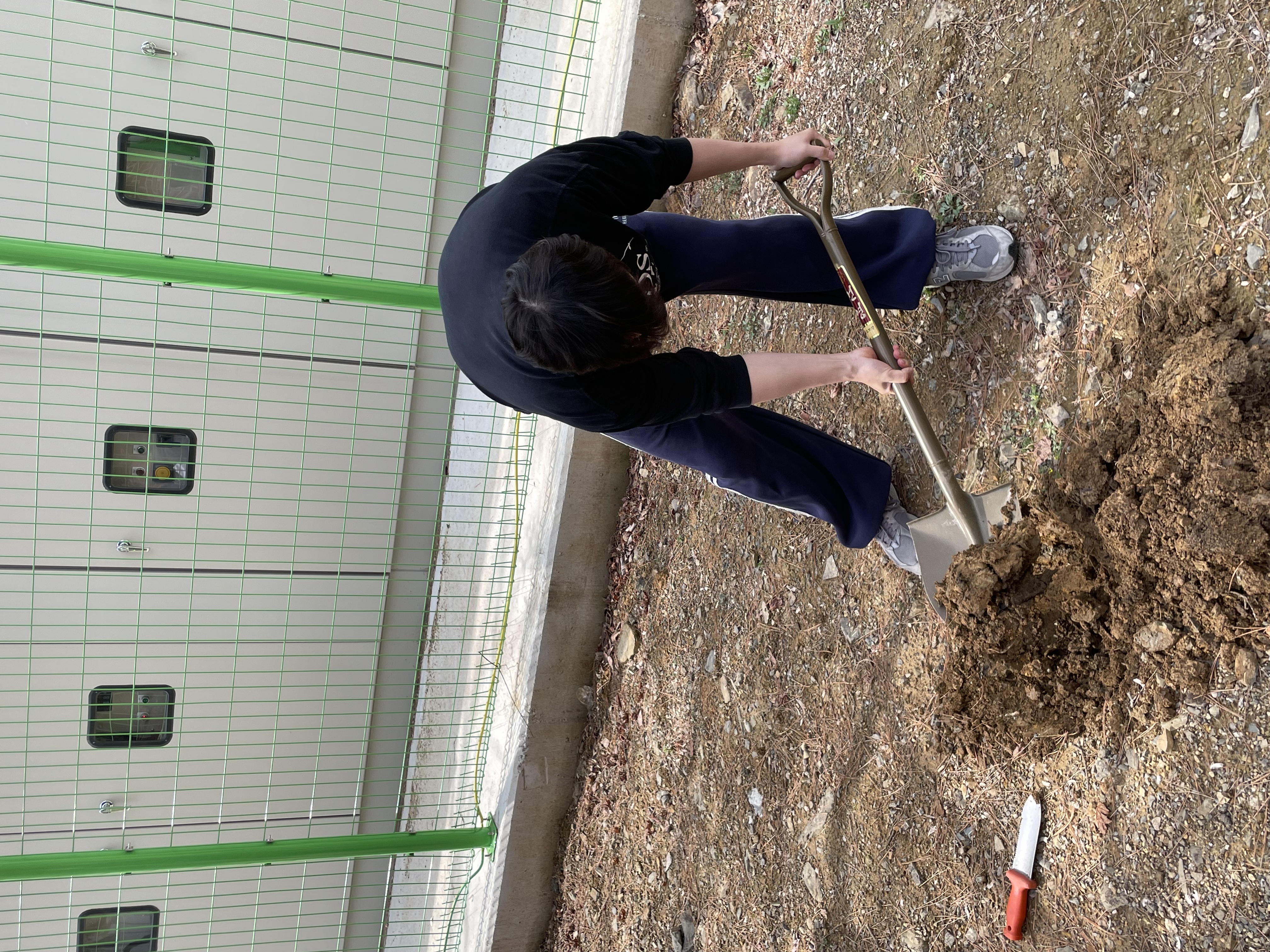 2026 식목일 행사