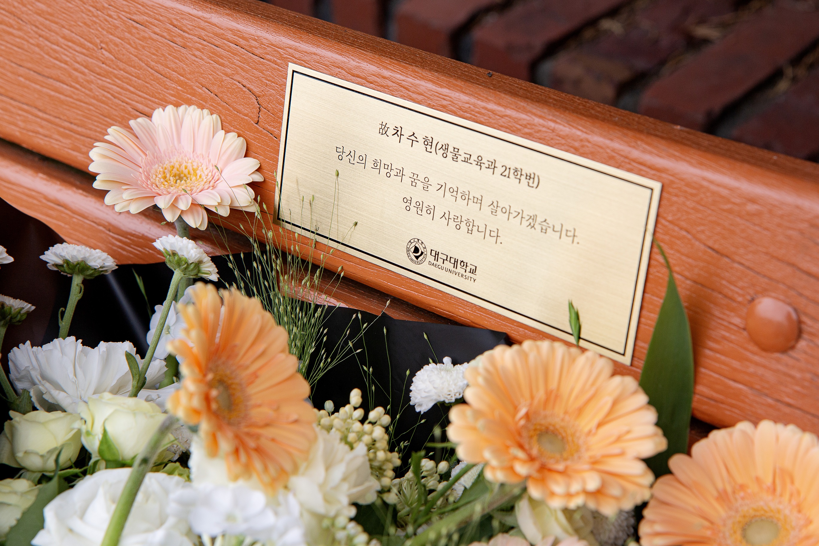 대장암으로 세상 뜬 우리 대학 사범대 학생의 ‘마지막 바람’